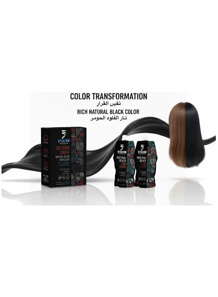 DyeGlow Hair Color Cream – Natural Black | Ammonia-Free & Non-Allergic Hair Dye | Nourishing & Anti-Aging Formula | 1000ml (500ml + 500ml) - Image 4